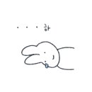 바벨피트니스둔산