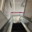 (주)바디프랜드 롯데백화점 본점 | 롯데백화점 본점 면세 프라다 미디엄 리나일론 백팩 LDF 구매 후기