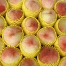 햇살찬농장 이미지