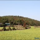 하천리 Daum카페