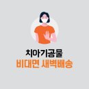 덴치과기공소 이미지