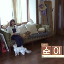 고양이민박 이미지