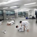 대한체육관 2도장(태권도) 이미지