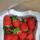 정승농장 이미지