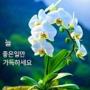 도*환 이미지
