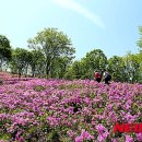 논산 이미지