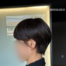 갤러리더선 | 김천미용실 찾다가 대구미용실 정착(갤러리더선 원장님 커트 컷트 뿌리염색 찐후기)