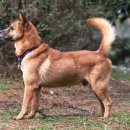 제주동물메디컬센터 이미지