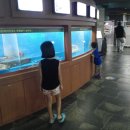 해양곰장어 이미지