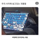 이토록 무던한 내가