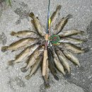 (주)윤성산업개발 이미지