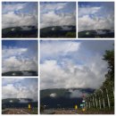 호랭이농장 네이버블로그