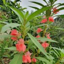 해마루민박 이미지