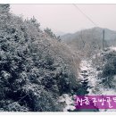 대한농장 이미지