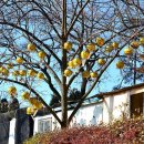 밭탕골약수터 이미지