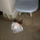 가족_앞_CCTV 이미지