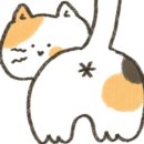 묘한다방