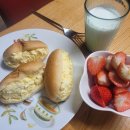 언니네면세점 | 대마도 당일치기 리얼 후기 (feat. 내돈내산), 예약 전 필수 확인