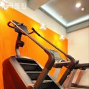 아라핏짐 이미지