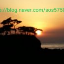 모항농장 이미지