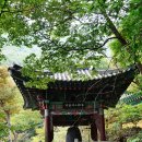 중담2주차장 | 오서산 억새산행