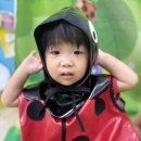 💜꼬마 무당벌레🐞💜 이미지