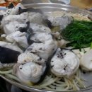 본동복어 이미지