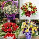 도봉-도봉-서울도봉-2434 이미지