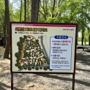 화원유원지 축구장 | 나들이 명소! 겹벚꽃과 색색 튤립 등 봄단장 마친 화원유원지(화원동산)과 사문진피크닉장 이용 후기!!