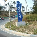 줌데렐라