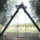 압화&보존화공예 이미지