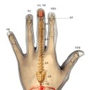 손바닥 지압 이미지