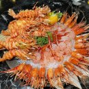 꽃새우 영번지 이미지