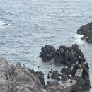 (주)등대 이미지