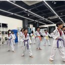 전인태권도교육관 이미지