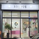 조선생 펫살롱 이미지