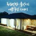 불란지스테이 이미지