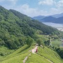 발아래로 펼쳐진 초록빛 찻잎 바다🌿 전남 보성 #보성차밭전망대 이미지