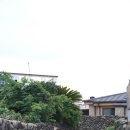 내도레미민박 | 제주 에어비앤비 숙소 추천 :: 내도레미 민박 아이들과 머무르기 좋아요!