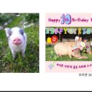 오팔농장2농장 이미지