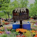 대지-생명 이미지