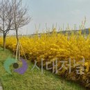 오학 걷고싶은거리 이미지