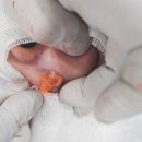 다움성형외과의원 이미지