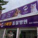 가족동물병원 이미지