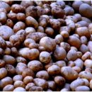 경호민박 이미지