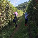 호암농장2 이미지