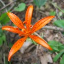 하늘농장8 이미지