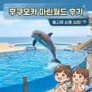 미나월드 | 후쿠오카 아이와 가볼만한곳 JR 타고 다녀온 마린월드 우미노나카미치 후기 🐬