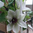 하계역(7호선) 이미지