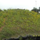 대곶중학교 이미지